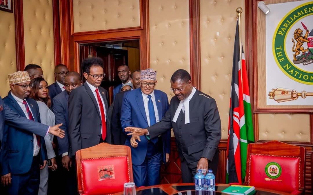 Wetang'ula pledges parliamentary cooperation in meeting with Somaliland president